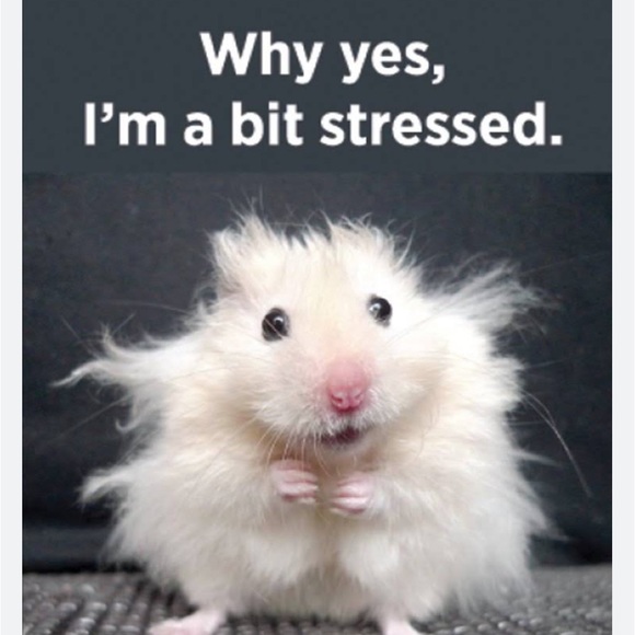 Anti-Stress Mystery Box - Picture 2 of 3